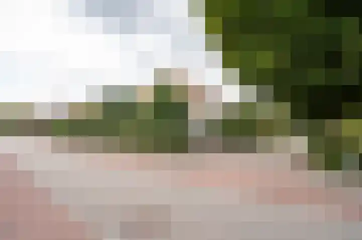 Mildijk 8 Vuren thumbnail 40