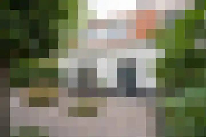 Mildijk 8 Vuren thumbnail 5