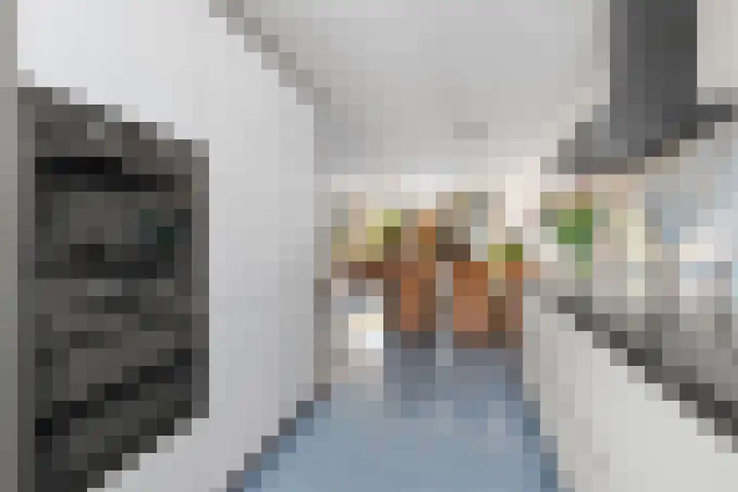 Mildred Didriksonstraat 14 Almere thumbnail 17