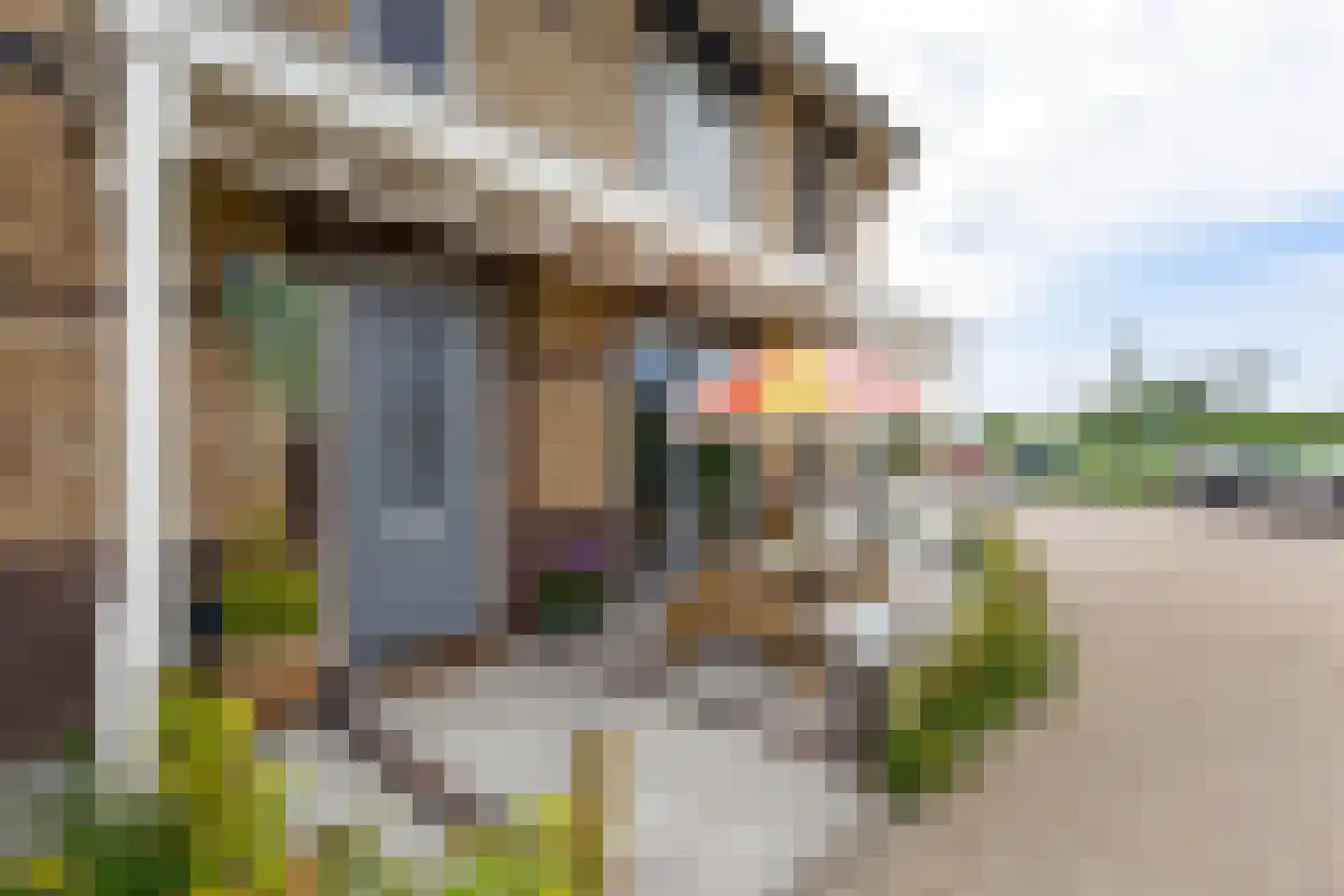 Mildred Didriksonstraat 28 Almere thumbnail 38