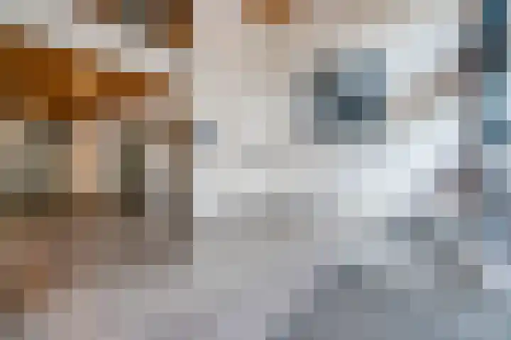 Miles Davisstraat 167 Utrecht thumbnail 25