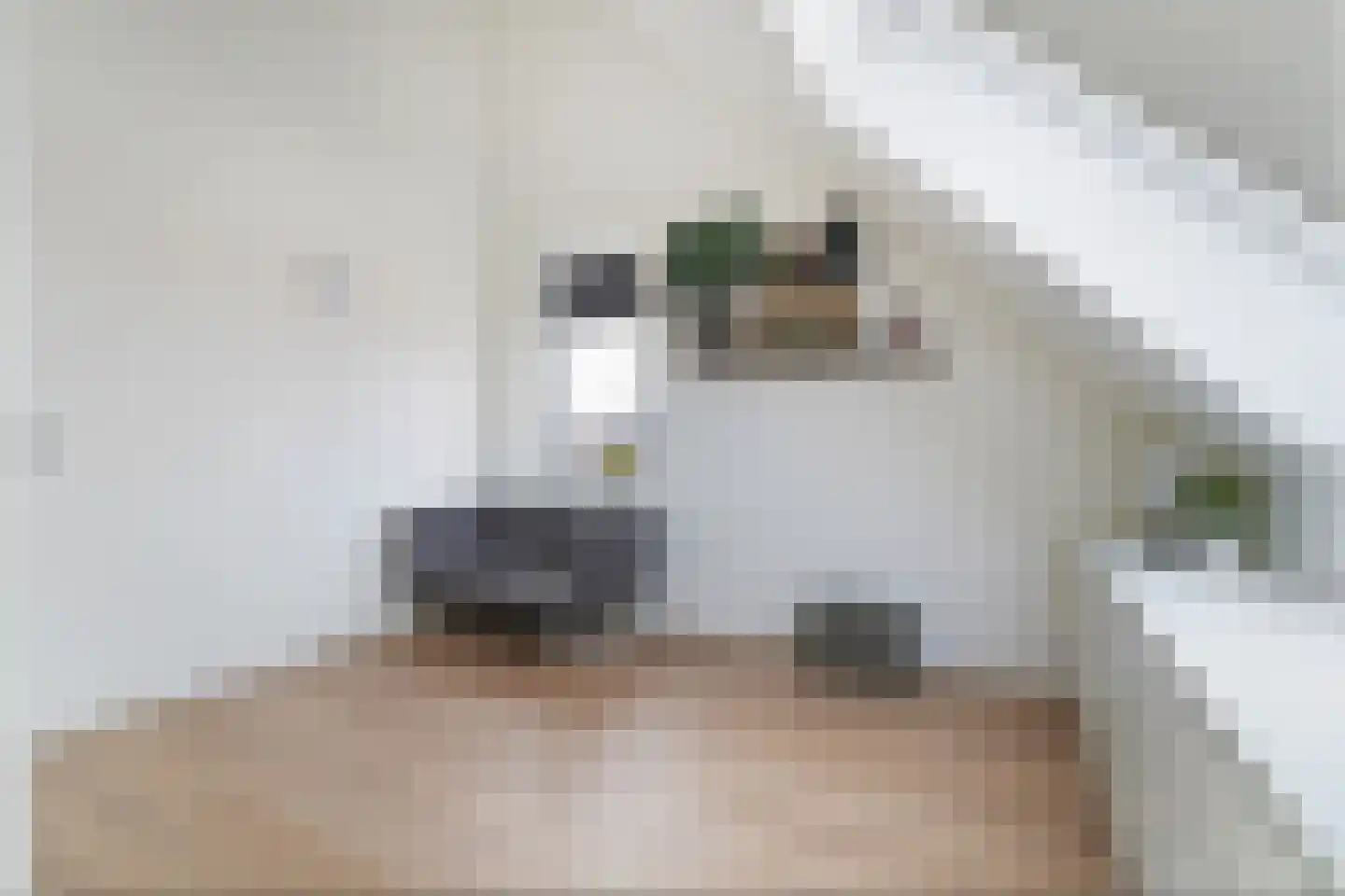 Miles Davisstraat 46 Middelburg thumbnail 31