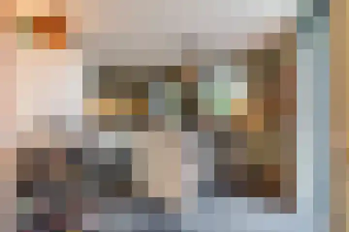 Milheezestraat 30 Tilburg thumbnail 11