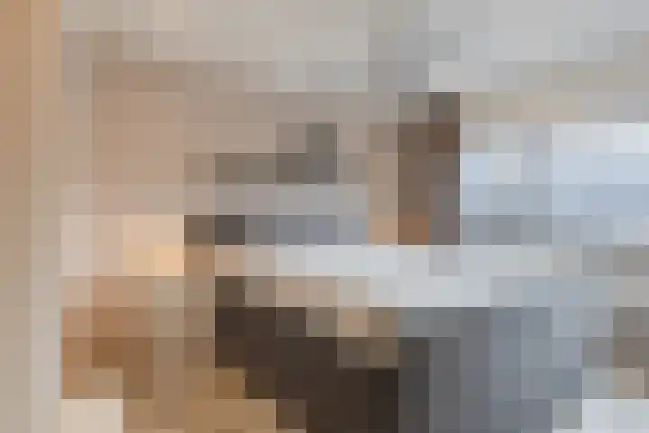 Milheezestraat 36 Tilburg thumbnail 17