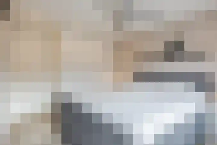 Milheezestraat 36 Tilburg thumbnail 18