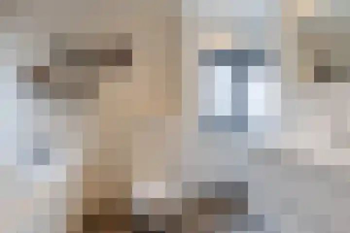 Milheezestraat 36 Tilburg thumbnail 25