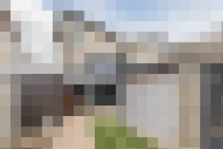 Milheezestraat 36 Tilburg thumbnail 34