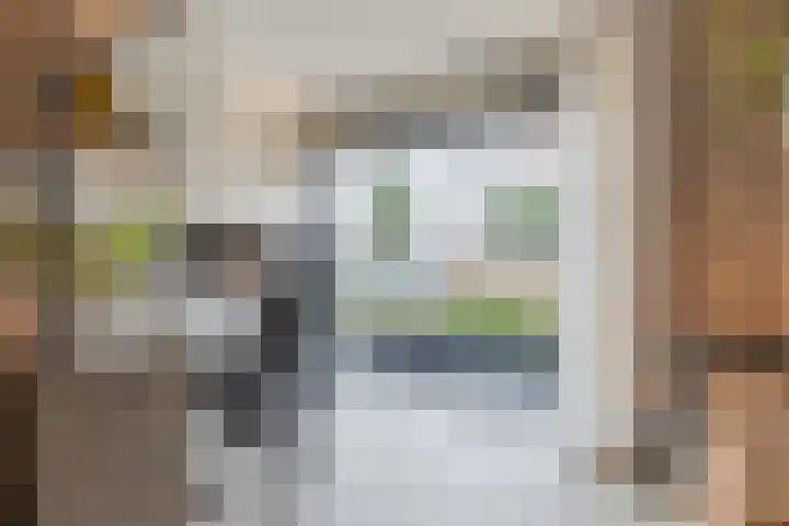 Milheezestraat 36 Tilburg thumbnail 5