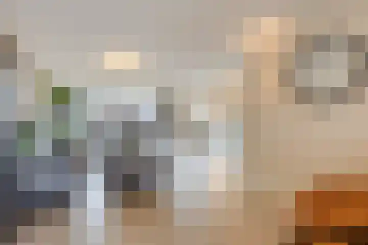 Milheezestraat 36 Tilburg thumbnail 6