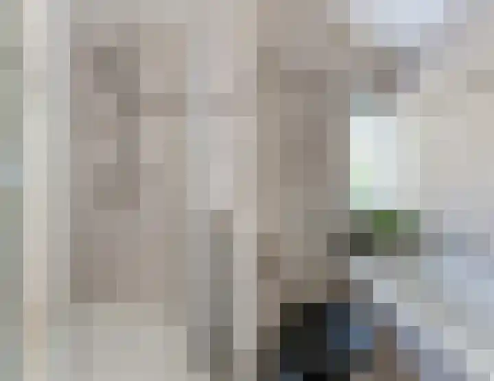 Milheezestraat 48 Tilburg thumbnail 23