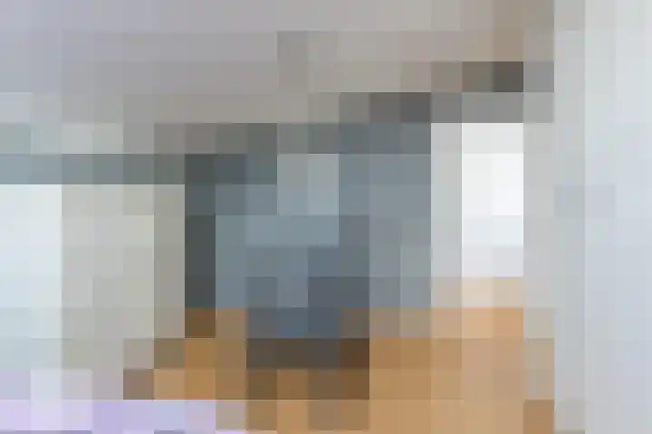 Milheezestraat 48 Tilburg thumbnail 26