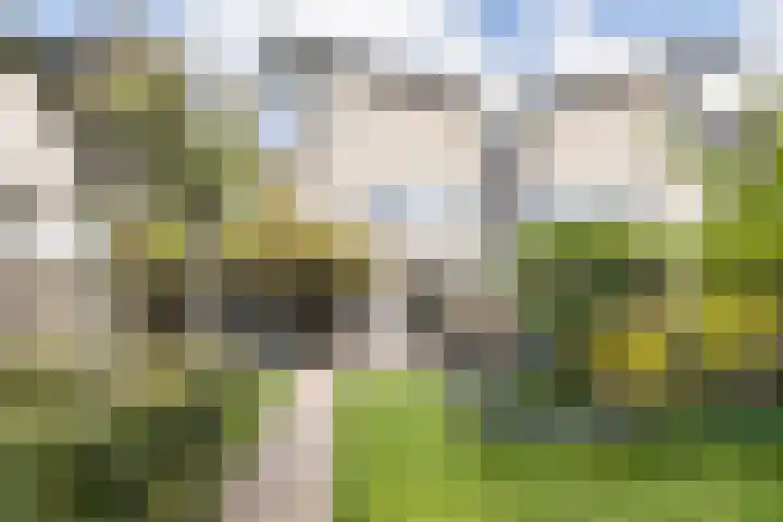 Milheezestraat 48 Tilburg thumbnail 29