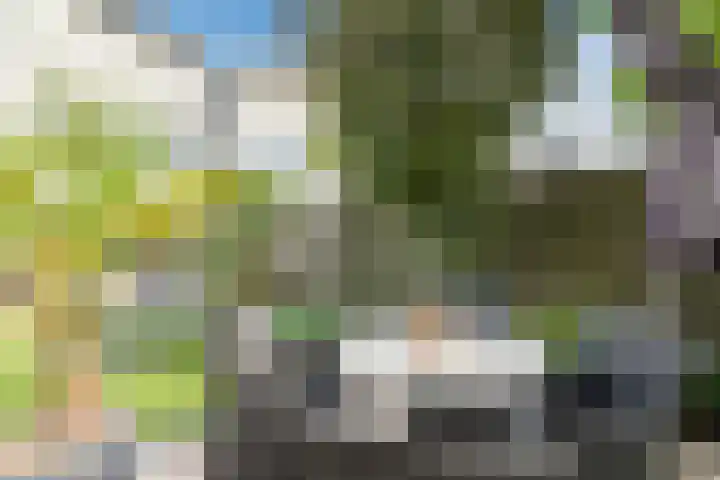 Milheezestraat 48 Tilburg thumbnail 32