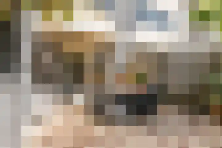 Milheezestraat 48 Tilburg thumbnail 33