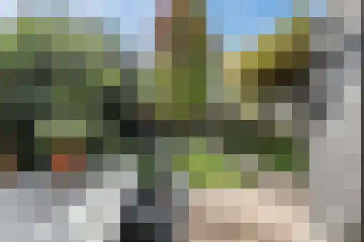 Milheezestraat 48 Tilburg thumbnail 34