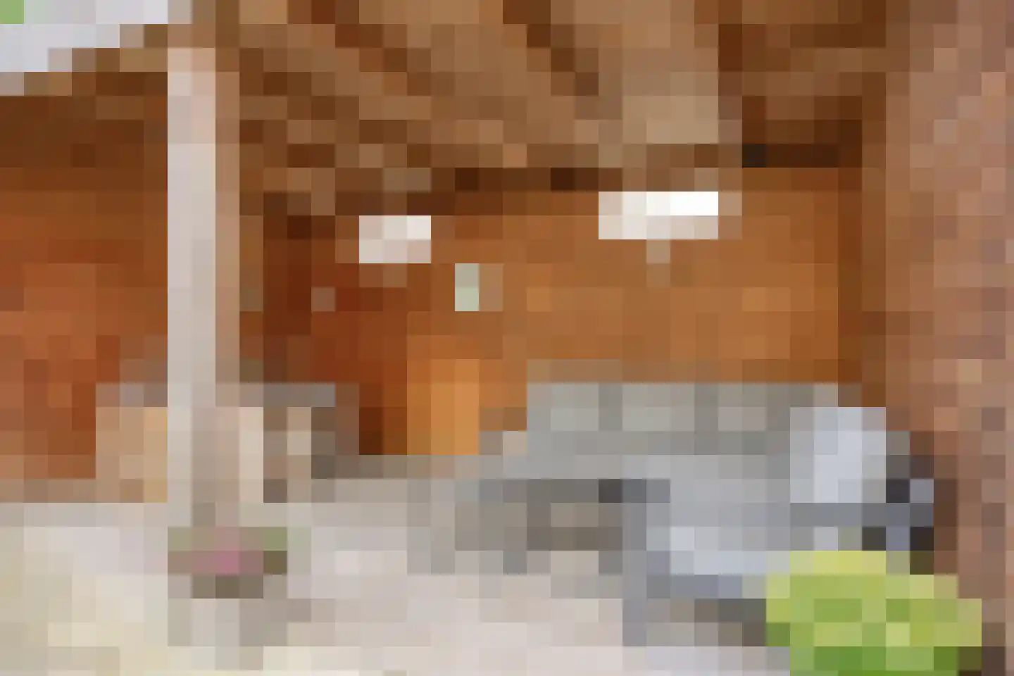 Milheezestraat 52 Tilburg thumbnail 36