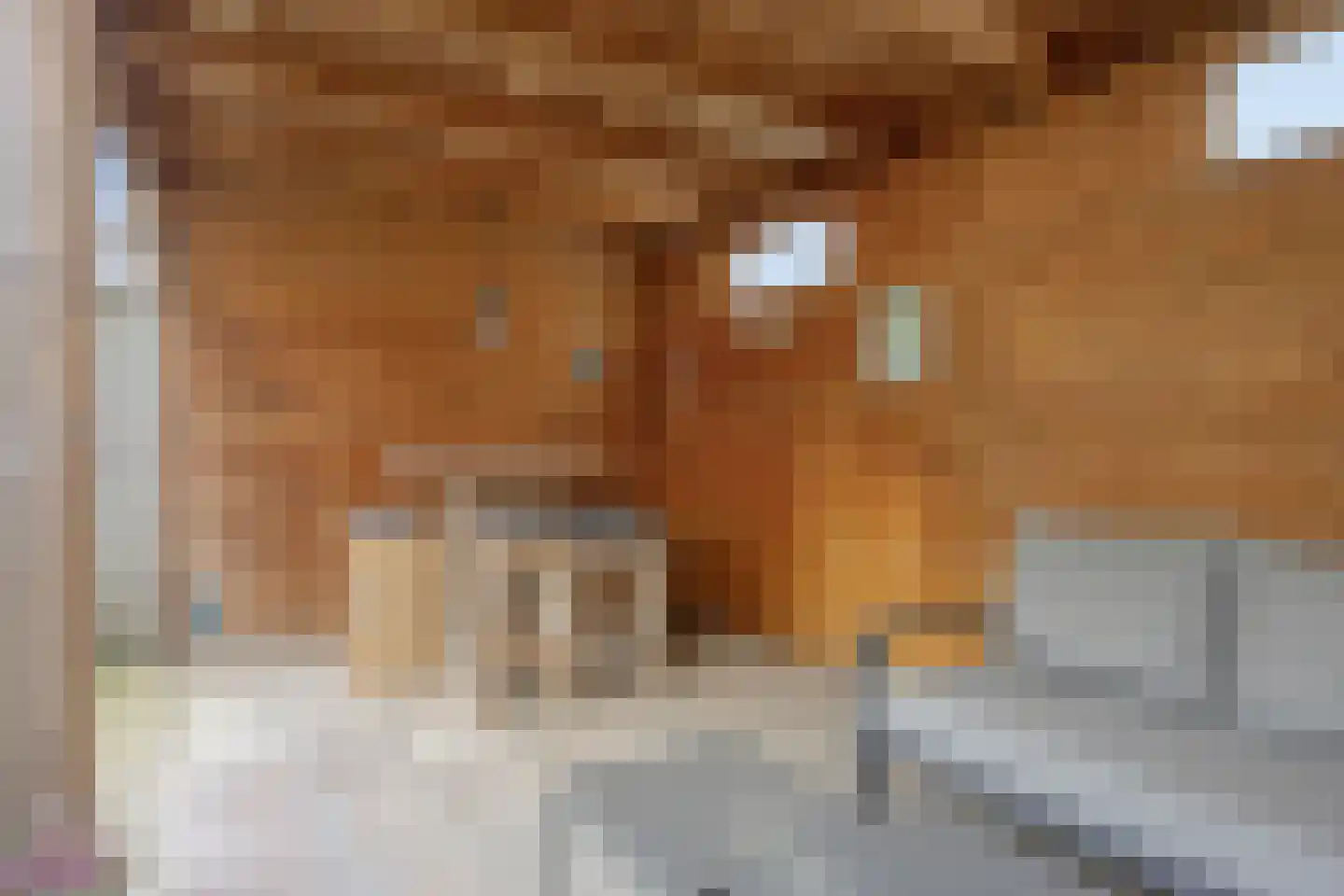 Milheezestraat 52 Tilburg thumbnail 37