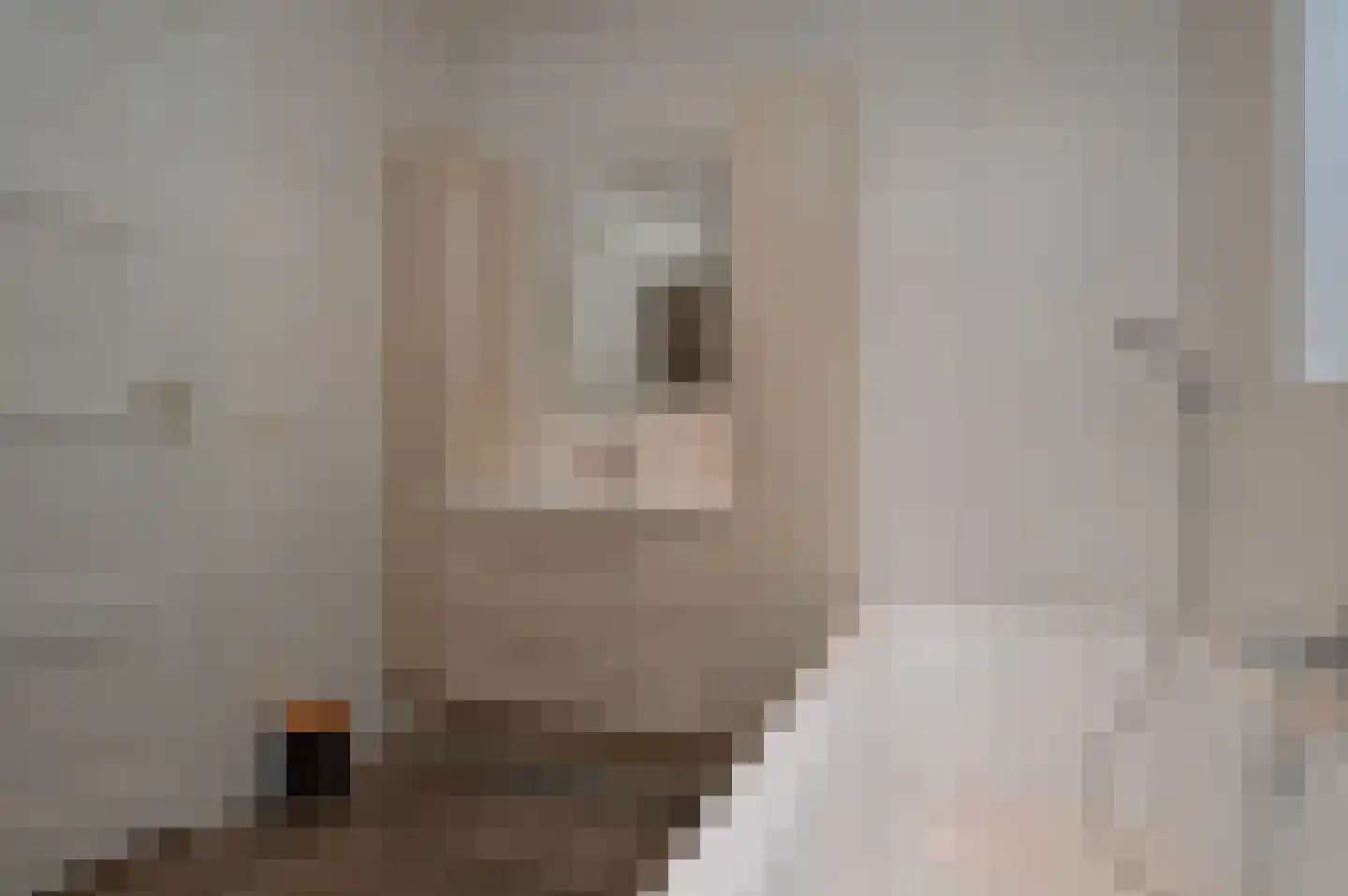 Milhezerweg 21 Deurne thumbnail 18