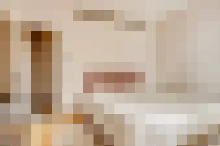 Milhezerweg 21 Deurne thumbnail 20