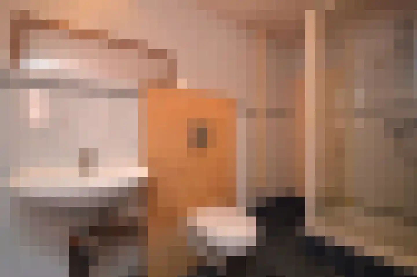 Milhezerweg 21 Deurne thumbnail 27