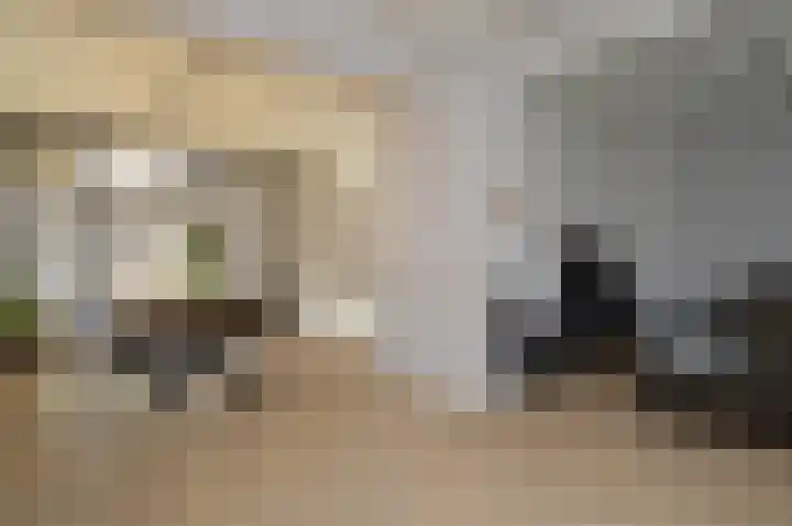 Milhezerweg 21 Deurne foto 3