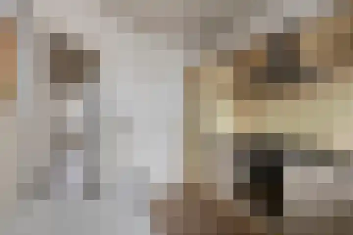 Milhezerweg 21 Deurne thumbnail 34