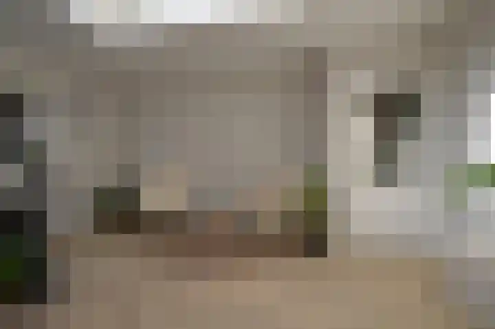 Milhezerweg 21 Deurne thumbnail 4