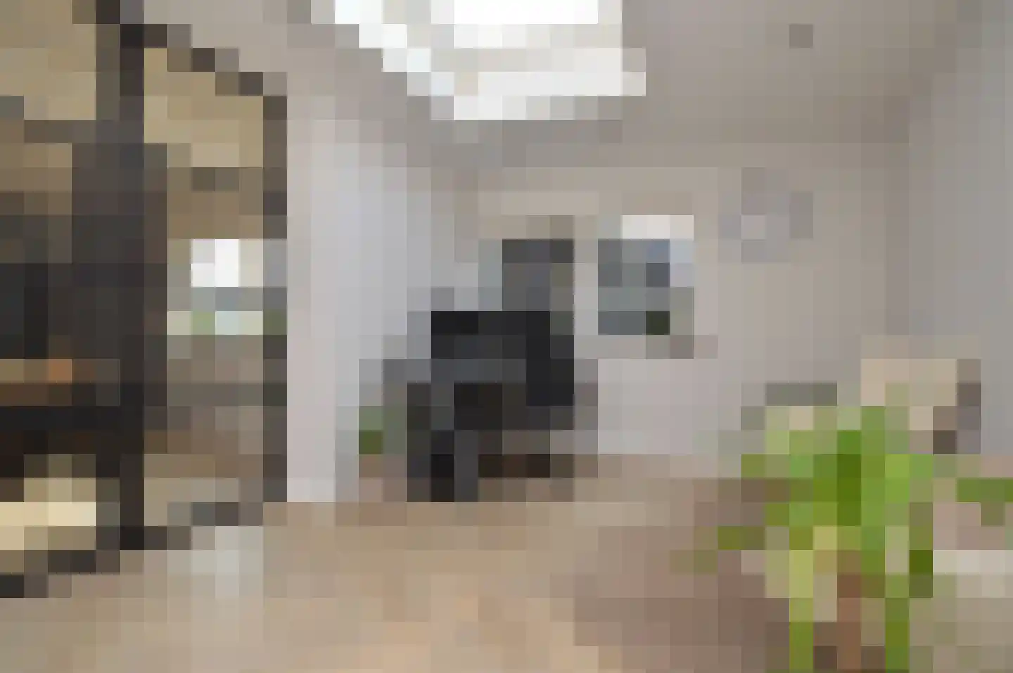 Milhezerweg 21 Deurne thumbnail 5