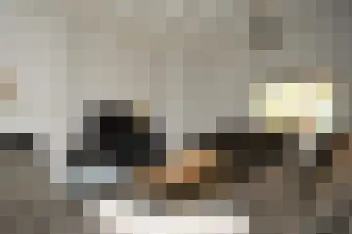Milhezerweg 21 Deurne thumbnail 8