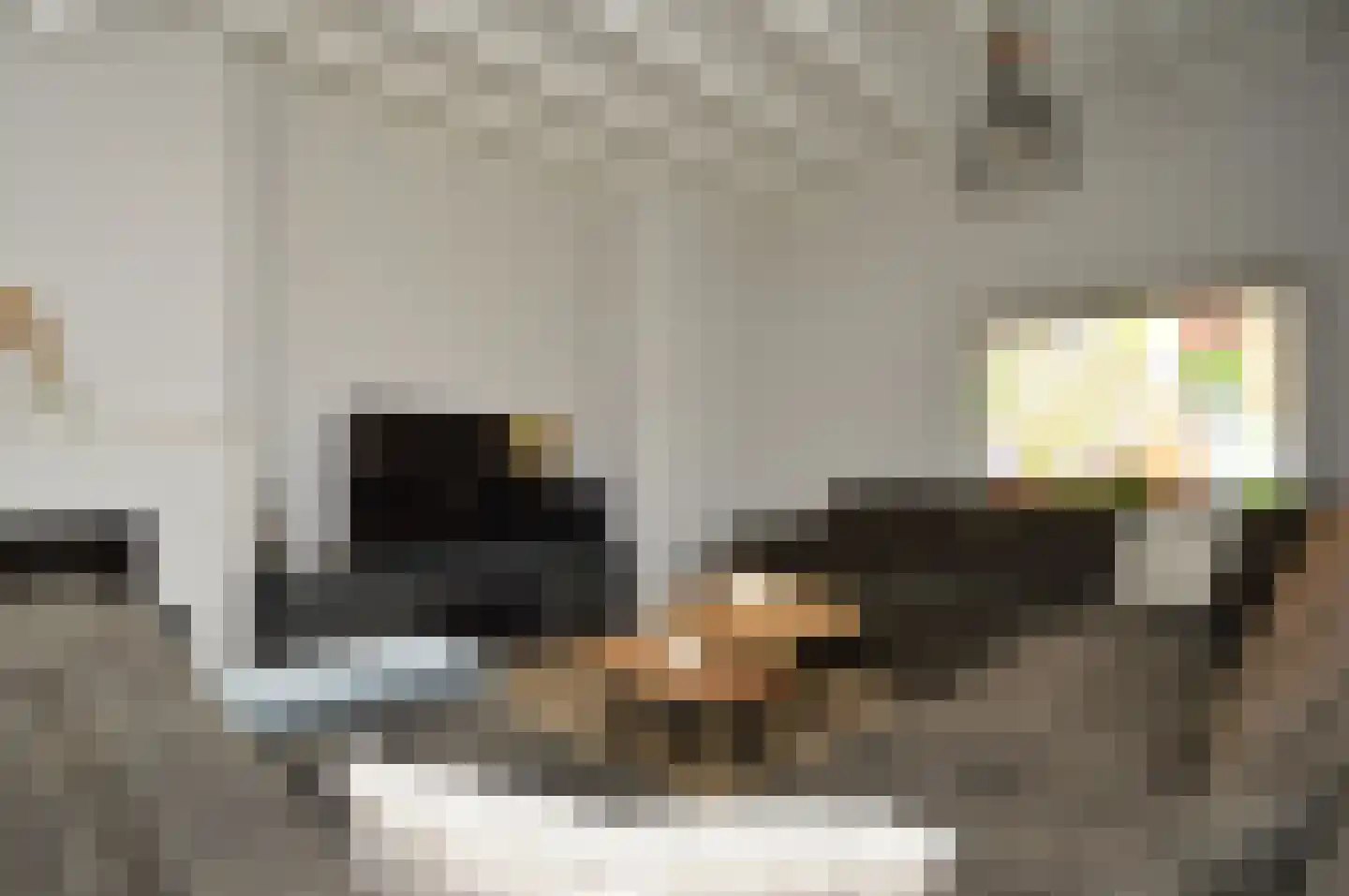 Milhezerweg 21 Deurne thumbnail 8