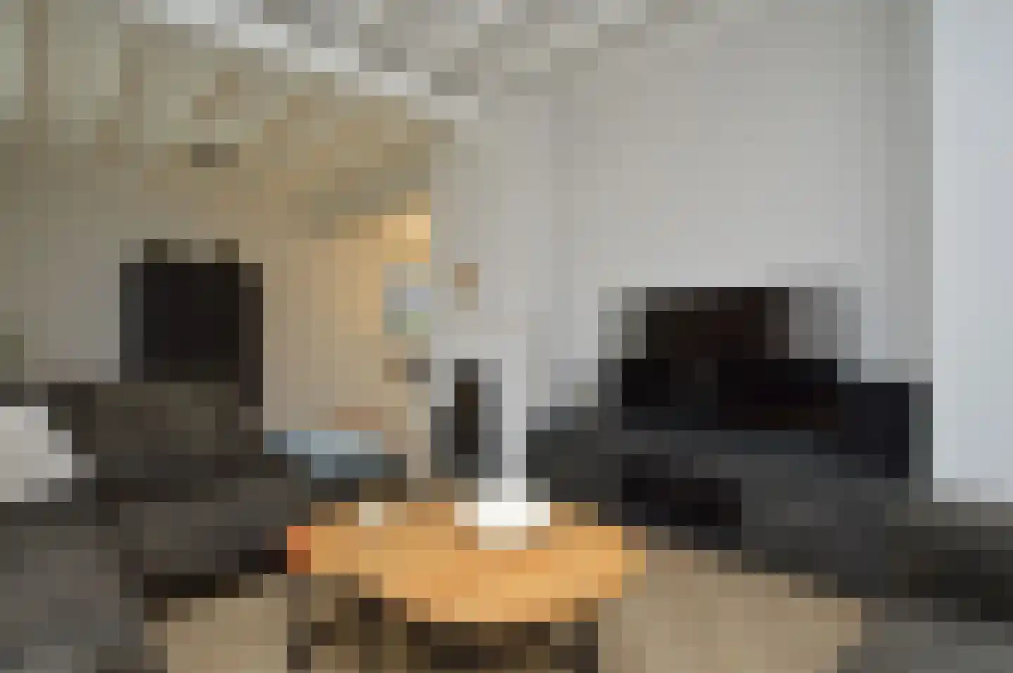 Milhezerweg 21 Deurne thumbnail 9