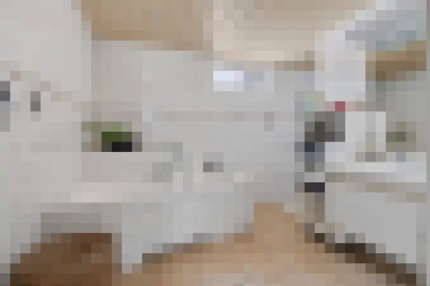 Milhezerweg 32 Deurne thumbnail 14