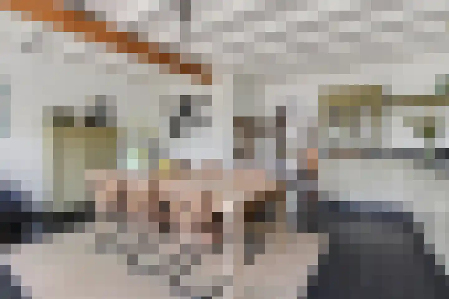 Milhezerweg 32 Deurne thumbnail 16