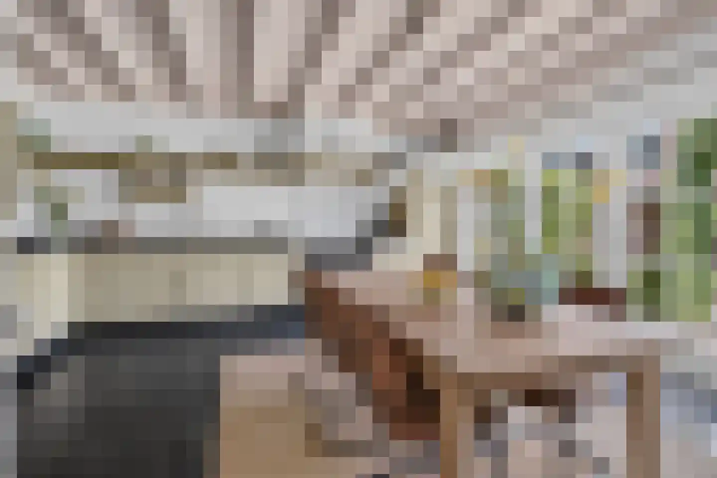 Milhezerweg 32 Deurne thumbnail 21