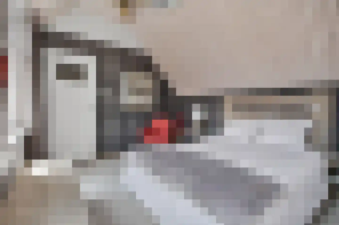 Milhezerweg 32 Deurne thumbnail 27