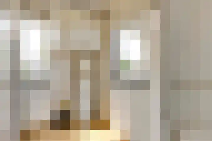 Milhezerweg 40 a Deurne thumbnail 36