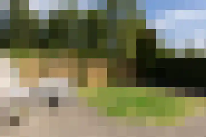 Milhezerweg 40 a Deurne thumbnail 45