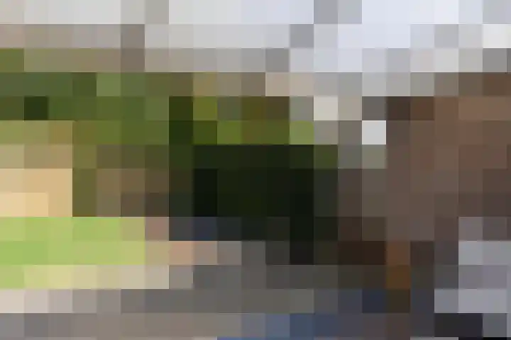 Milhezerweg 40 a Deurne thumbnail 48
