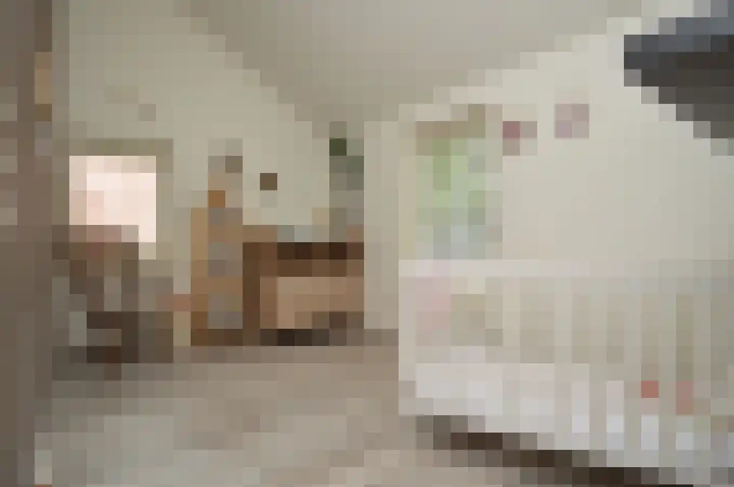 Milhezerweg 7 Deurne thumbnail 14