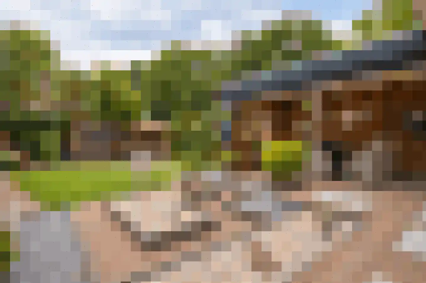 Milhezerweg 7 Deurne thumbnail 24