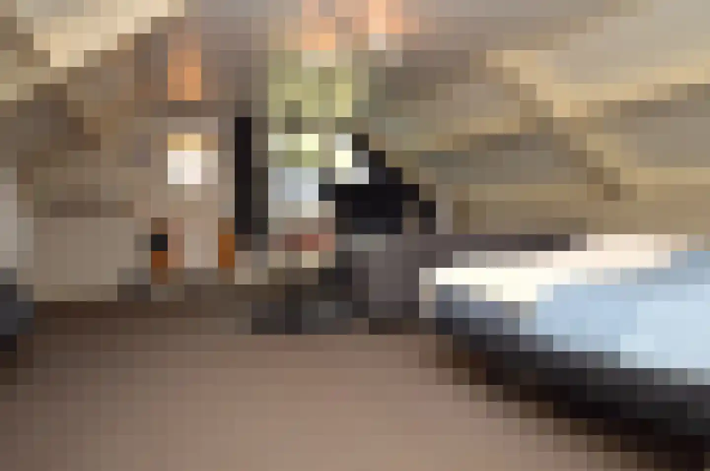 Milhezerweg 7 Deurne thumbnail 32