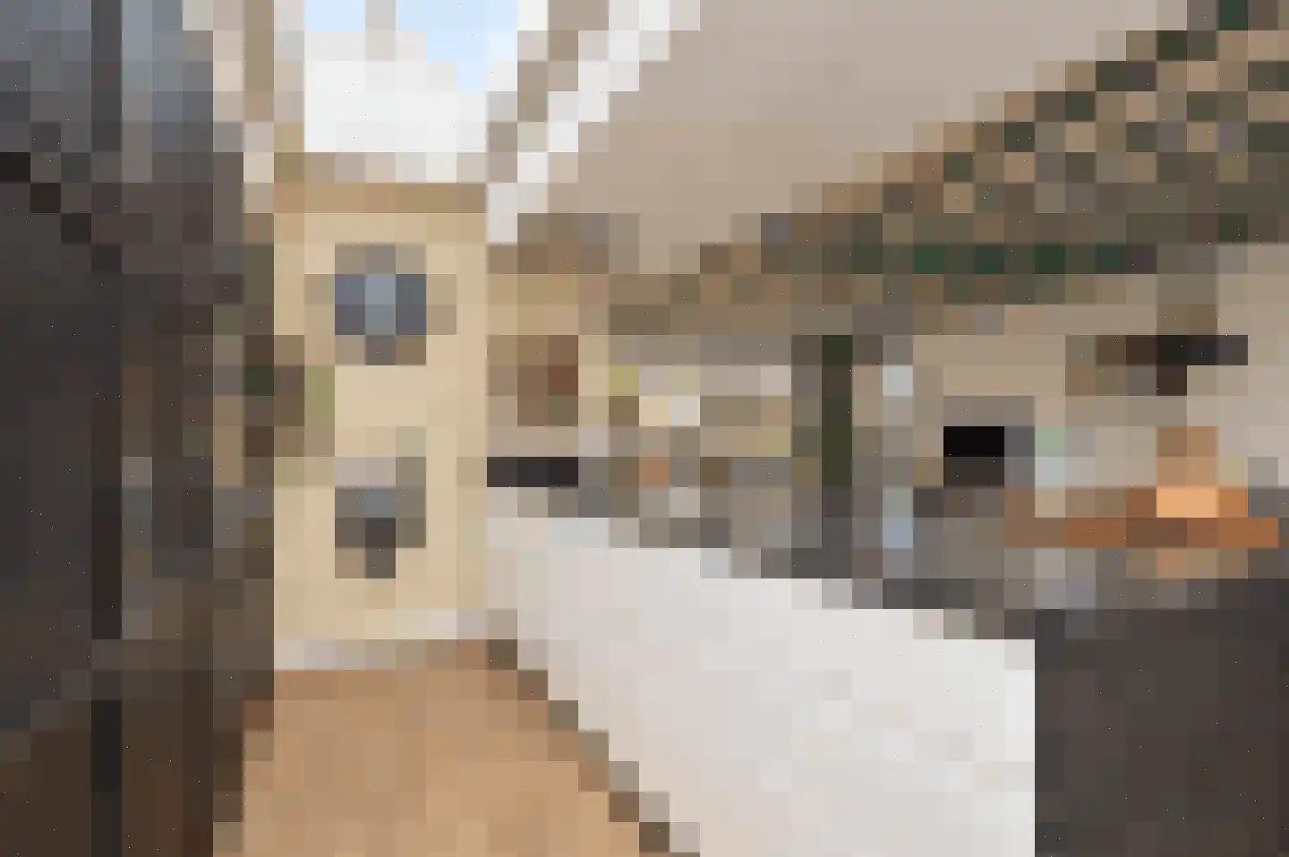 Milhezerweg 7 Deurne thumbnail 5