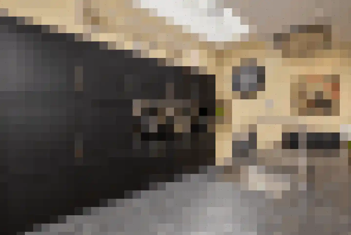 Milhezerweg 7 Deurne thumbnail 6