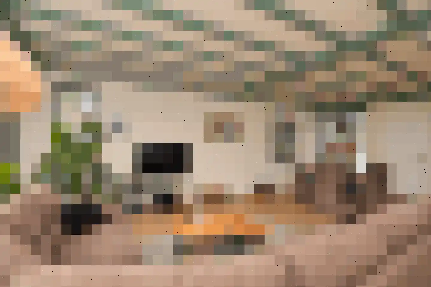 Milhezerweg 7 Deurne thumbnail 8
