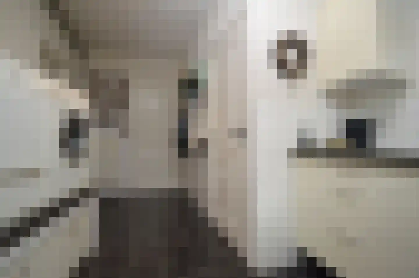 Milhezerweg 7 Deurne thumbnail 9