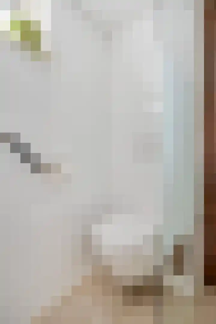 Milhoes 2 Mildam thumbnail 10
