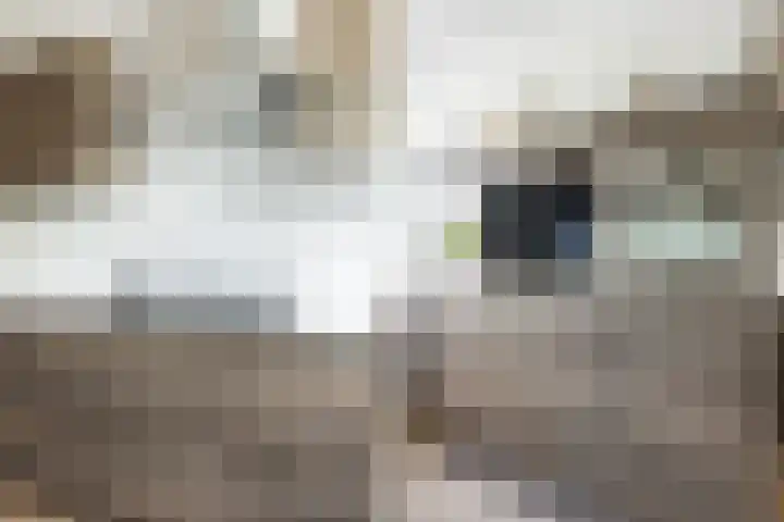 Milhoes 2 Mildam thumbnail 11