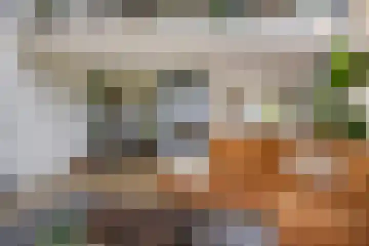 Milhoes 2 Mildam thumbnail 12
