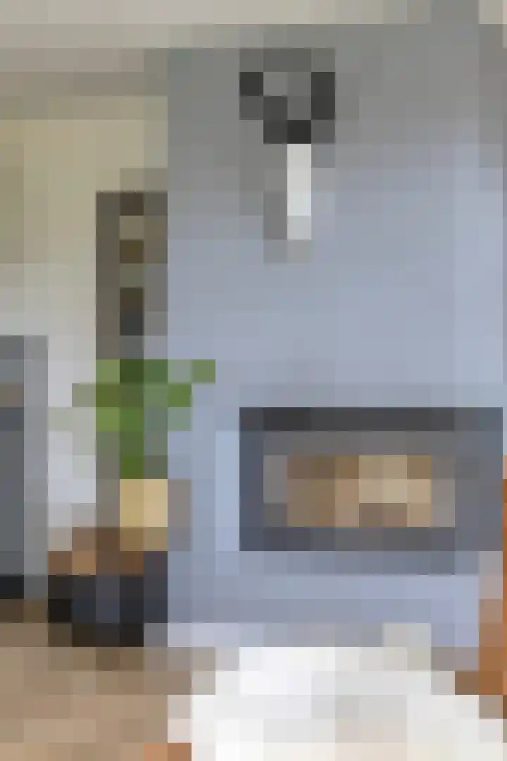 Milhoes 2 Mildam thumbnail 13