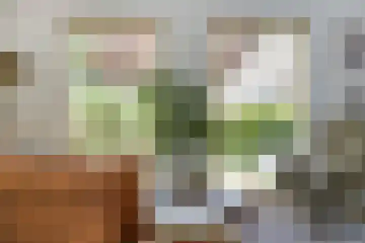 Milhoes 2 Mildam thumbnail 17